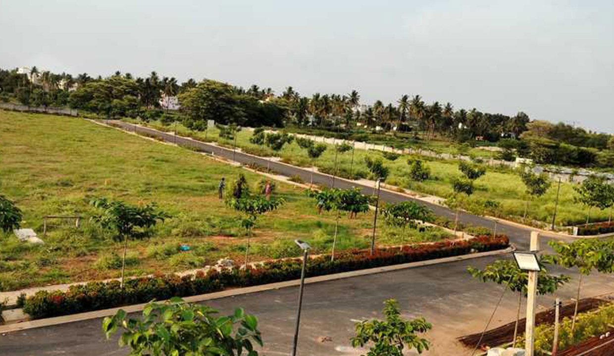 residential plots 1